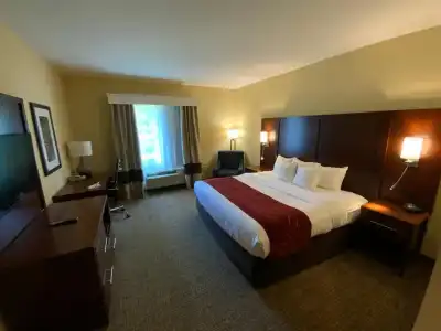 Comfort Suites Fredericksburg North - 78