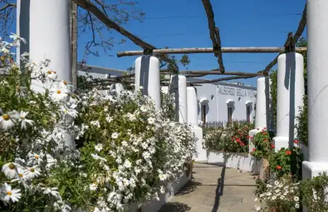 Bellavista - 29