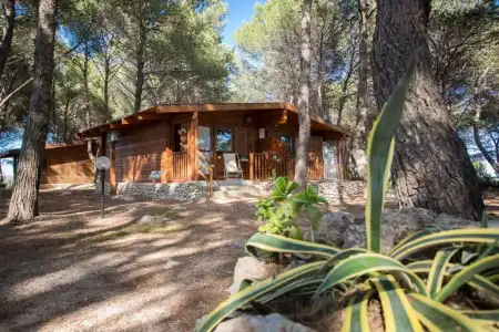 Tenuta Del Barco Wine Resort - 111