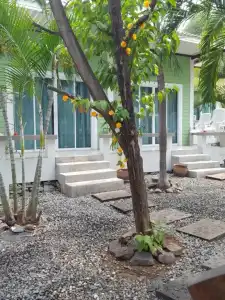 Charlie's Bungalow - 14