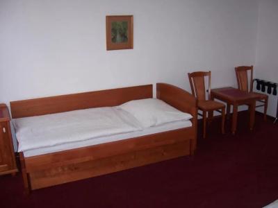 Pegas Brno - 23