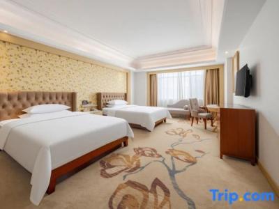 Vienna Dongguan Humen Wanda Plaza - 41