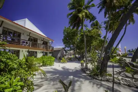Salt Beach - 20