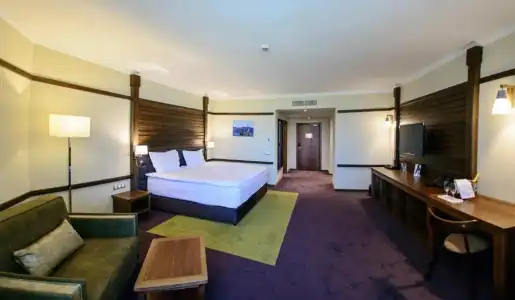 Hot Springs Medical and Spa - 31