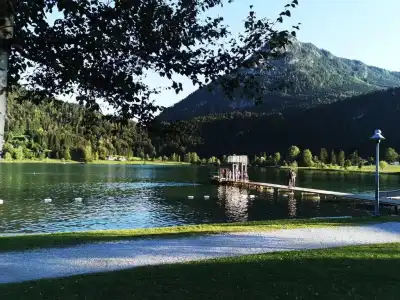 Goldener Loewe - 4