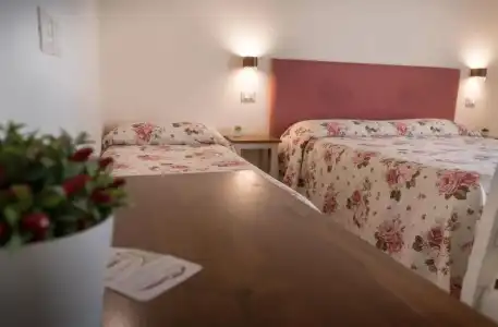Rosa di Assisi - 27