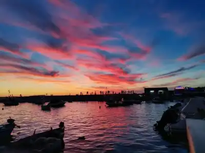 Marina - Restaurant - 22