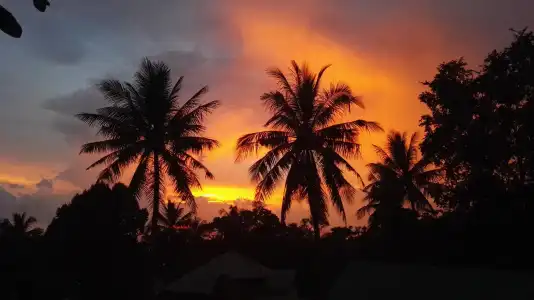 TP Hut Bungalows - 5