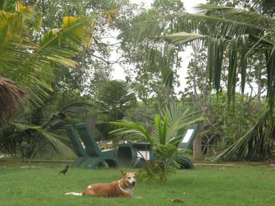 Beach Lagoon Guesthouse - 87