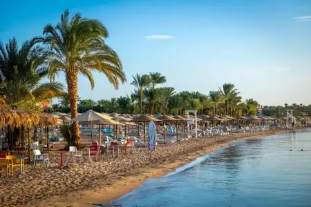 Fort Arabesque Resort, Spa & Villas - 31