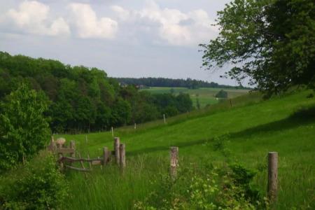 Wagners Greifen-Post - 4