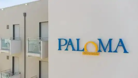 Paloma - 13