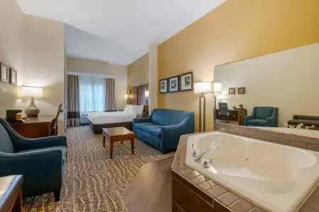 Comfort Suites Lady Lake - The Villages - 57