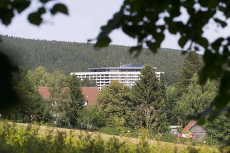Ahorn Harz Braunlage - 19