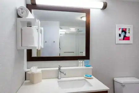 Hampton Inn Suites Minneapolis St Paul Arpt-Mall of America - 48