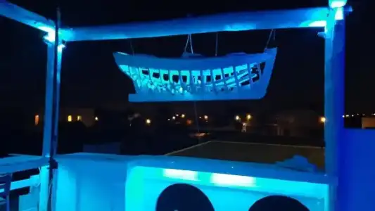 Nautilus - 11