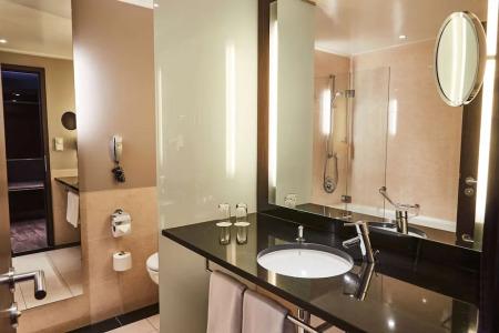 Steigenberger de Saxe Dresden - 84