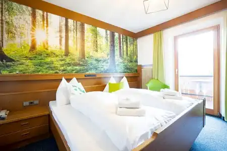 Guesthouse Pension Grafenstein - 20