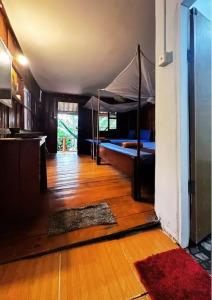 Dolphin Bay Resort - 10