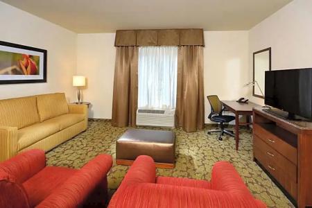 Hilton Garden Inn Greensboro Airport - 98