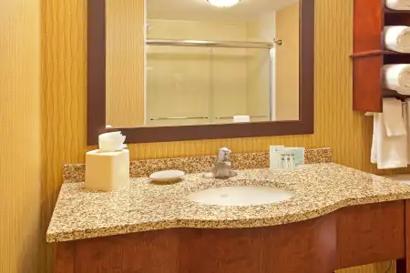 Hampton Inn Suites Minneapolis St Paul Arpt-Mall of America - 7