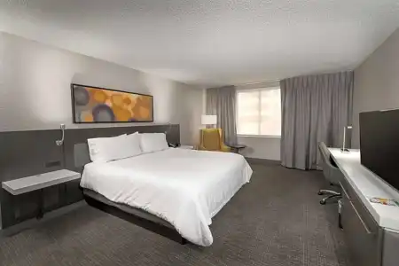 Hilton Garden Inn Las Colinas - 50