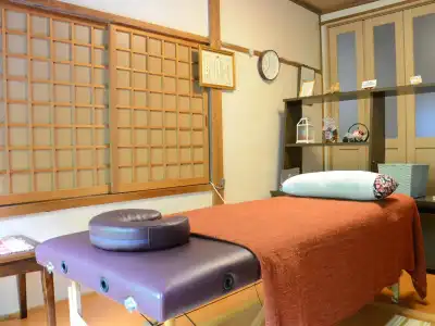 Shirahone Onsen Tsuruya Ryokan - 3