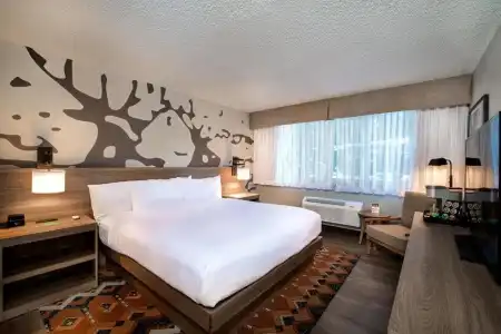 Holiday Inn Estes Park by IHG - 73