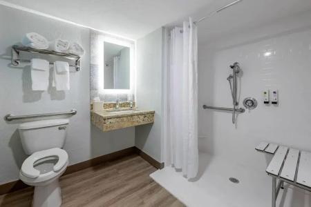 Dolphin Sands Clearwater Beach, an Ascend Collection - 79