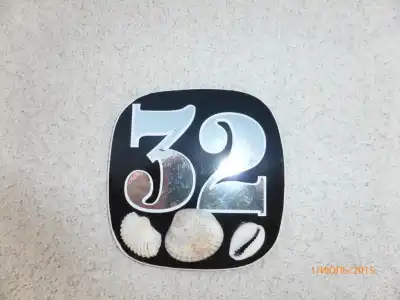 Shellman - 22
