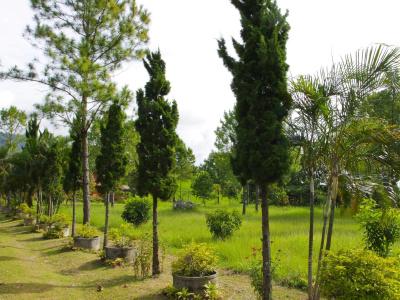 Phucome Resort - 13