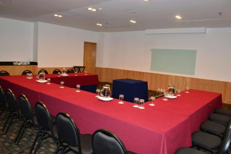 Fiesta Inn Tlalnepantla - 14