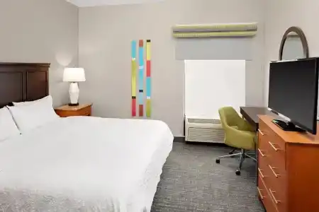 Hampton Inn & Suites Houston Medical Center NRG Park - 50