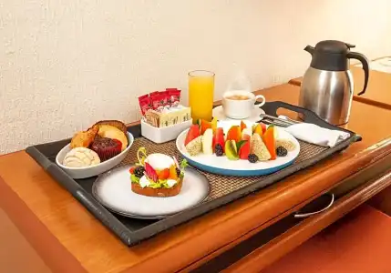 Guadalajara Plaza Expo Business Class - 43