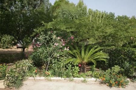 L'Arcobaleno Resort - 34