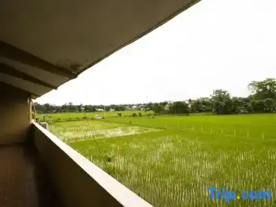 Wildlife Adventure Resort - 45