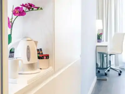 Mercure Raphael Wien - 41