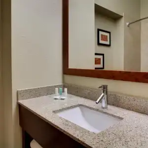 Comfort Suites Tyler South - 8