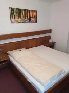 Pension Haus Diefenbach - 7