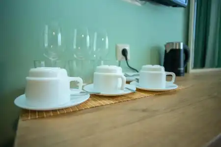 Kobuleti Garden Inn - 12