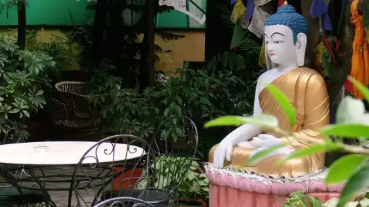 The Buddha Garden - 22