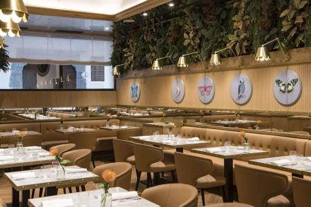 Il Tornabuoni Unbound - 36