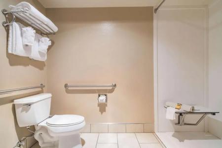 Best Western Plus GranTree Inn - 117