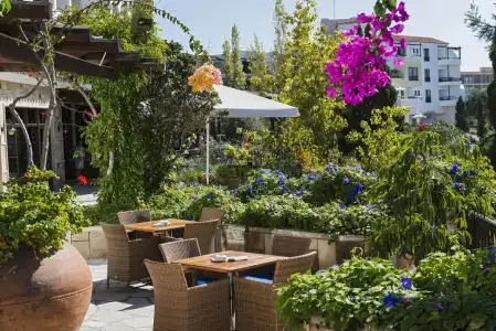 Thalassa Boutique & Spa - 18
