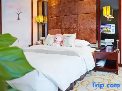 Wanyou Conifer Chongqing - 29