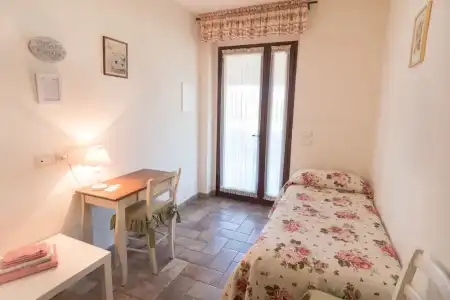 Rosa di Assisi - 52