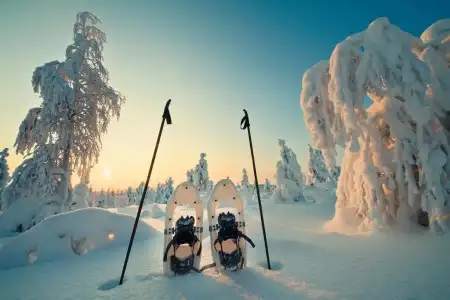Santa's Igloos Arctic Circle - 10