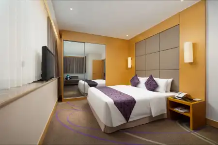 Dorsett Wuhan - 5