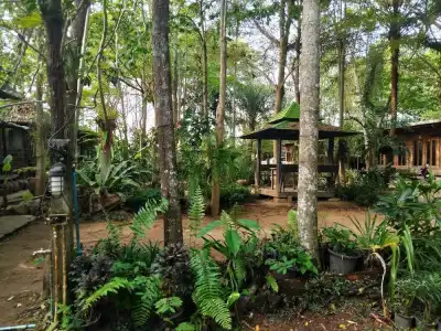 Pang Mai Resort - 21