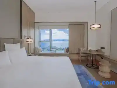 Pullman - 50